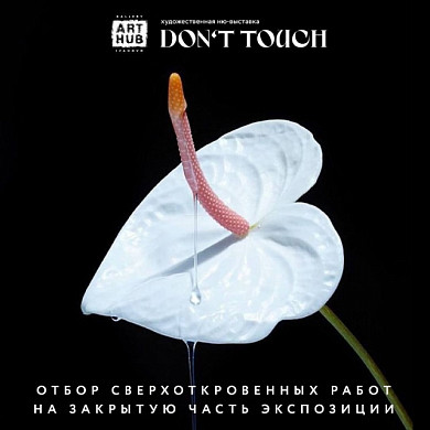 В Иванове откроется выставка сверхоткровенных работ в жанре ню